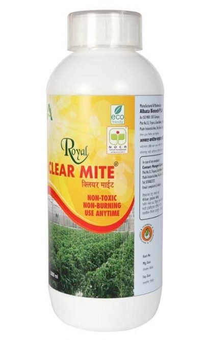 Royal Clear Mite - Image 3