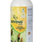 royal-larvend-3