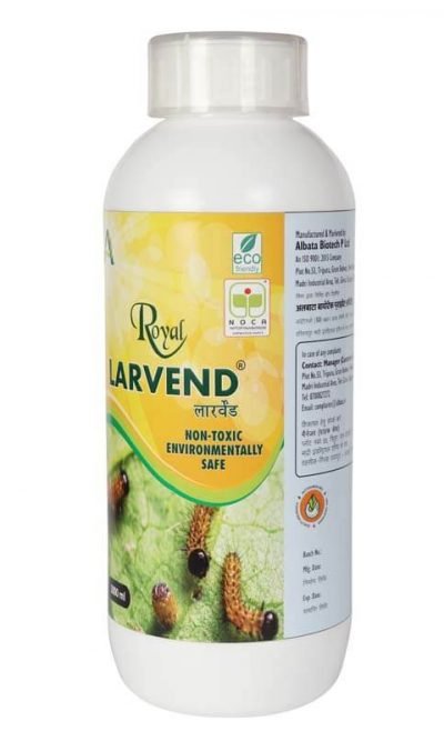 Royal Larvend - Image 3