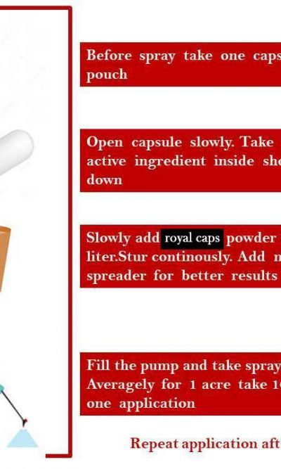 TOP GROW-(HC) CAPSULE - FRUITING & FLOWERING VEGETABLES - Image 3